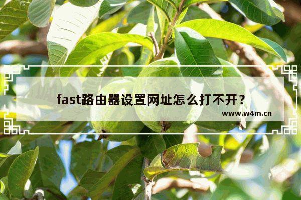 fast路由器设置网址怎么打不开？