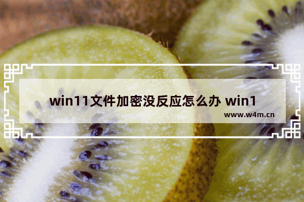 win11文件加密没反应怎么办 win11文件加密没反应解决办法