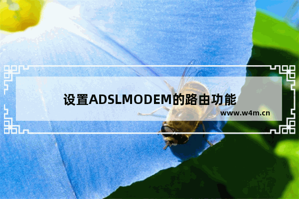 设置ADSLMODEM的路由功能