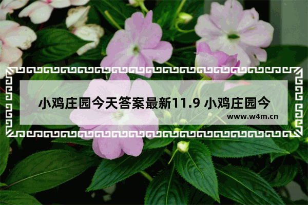 小鸡庄园今天答案最新11.9 小鸡庄园今日正确答案最新11月9日