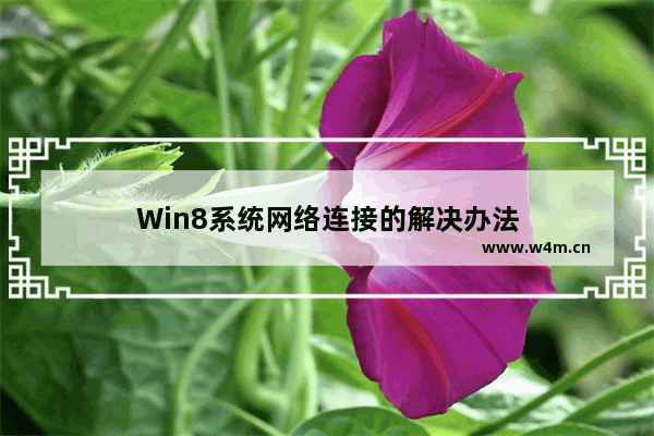 Win8系统网络连接的解决办法