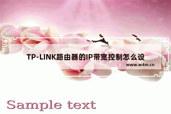 TP-LINK路由器的IP带宽控制怎么设置【设置说明】