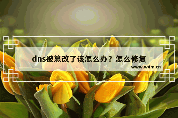 dns被篡改了该怎么办？怎么修复