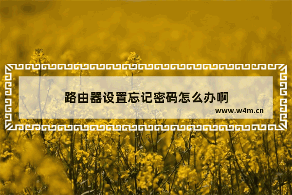 路由器设置忘记密码怎么办啊