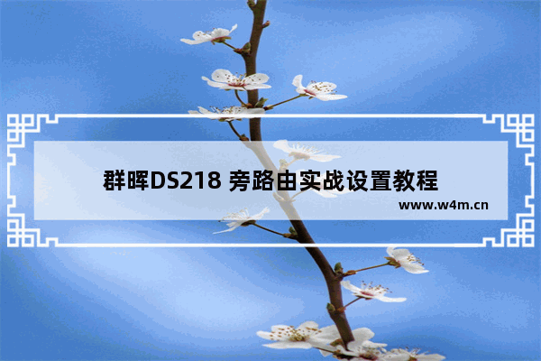 群晖DS218 旁路由实战设置教程