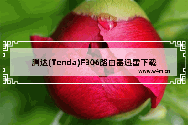 腾达(Tenda)F306路由器迅雷下载设置方法