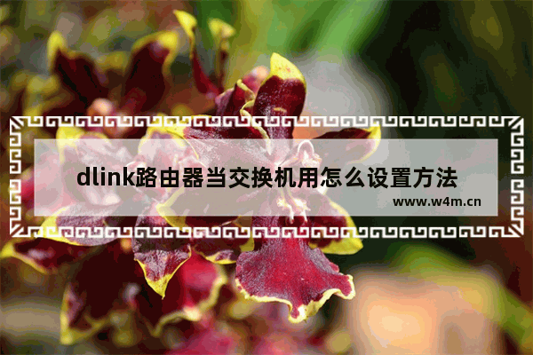 dlink路由器当交换机用怎么设置方法