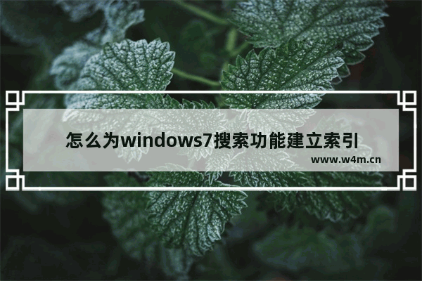 怎么为windows7搜索功能建立索引