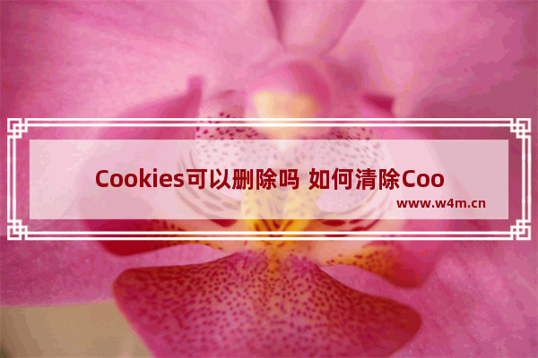 Cookies可以删除吗 如何清除Cookies？