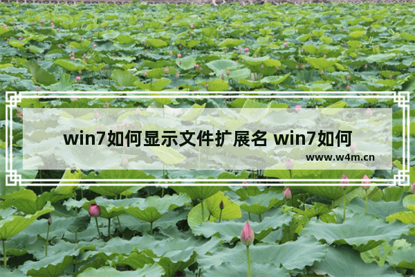 win7如何显示文件扩展名 win7如何显示文件扩展名方法介绍