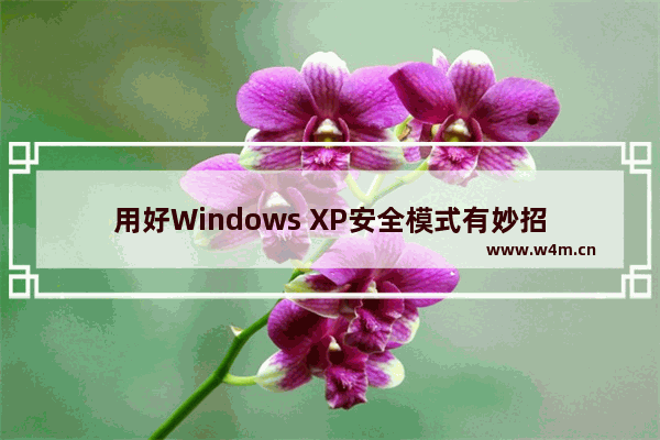 用好Windows XP安全模式有妙招