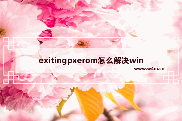 exitingpxerom怎么解决win10 win10提示exitingpxerom解决方法