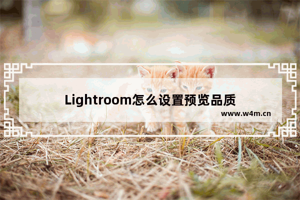 Lightroom怎么设置预览品质