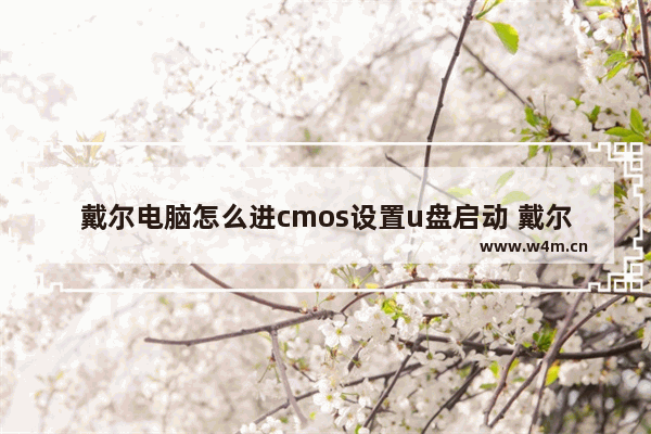 戴尔电脑怎么进cmos设置u盘启动 戴尔电脑如何设置U盘启动进入CMOS？