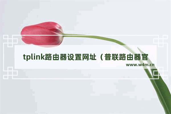 tplink路由器设置网址（普联路由器官网设置）