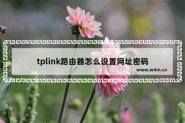 tplink路由器怎么设置网址密码