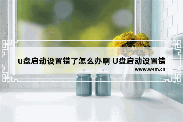 u盘启动设置错了怎么办啊 U盘启动设置错误怎么办？