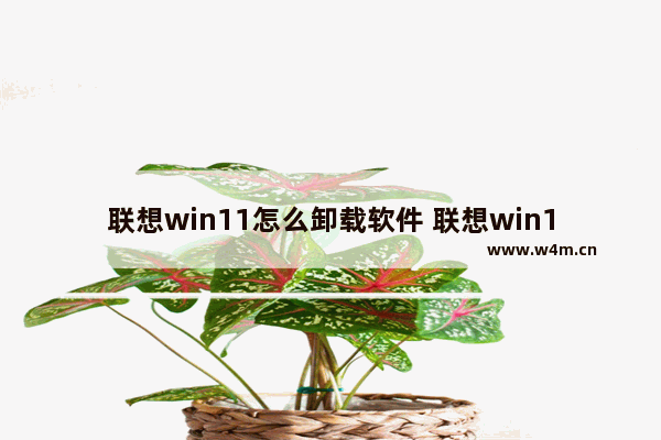 联想win11怎么卸载软件 联想win11怎么卸载软件方法介绍