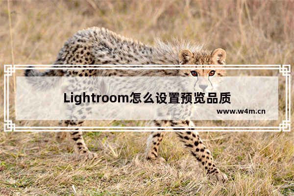 Lightroom怎么设置预览品质