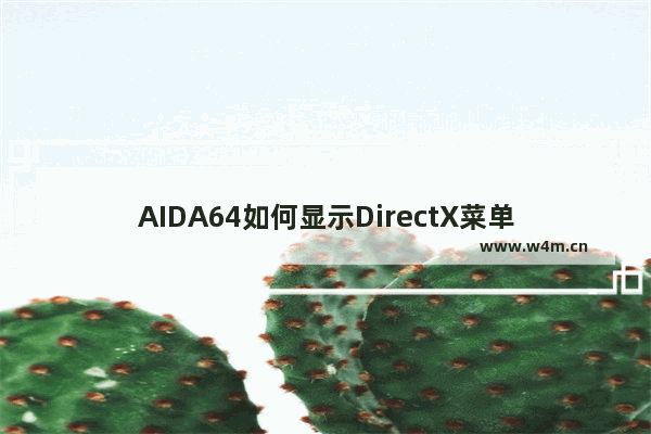 AIDA64如何显示DirectX菜单