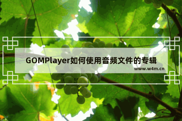 GOMPlayer如何使用音频文件的专辑封面图片