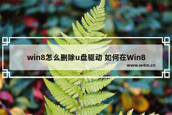 win8怎么删除u盘驱动 如何在Win8中卸载U盘驱动