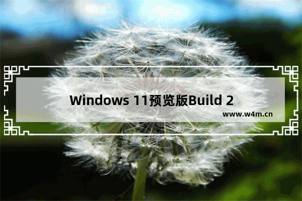 Windows 11预览版Build 25324更新内容介绍