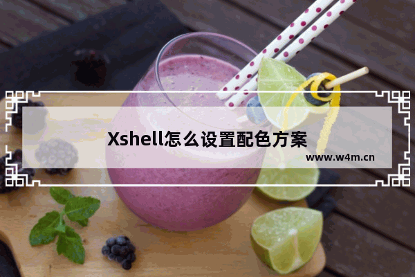 Xshell怎么设置配色方案