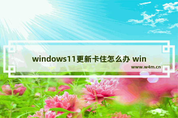 windows11更新卡住怎么办 windows11更新卡住解决方法