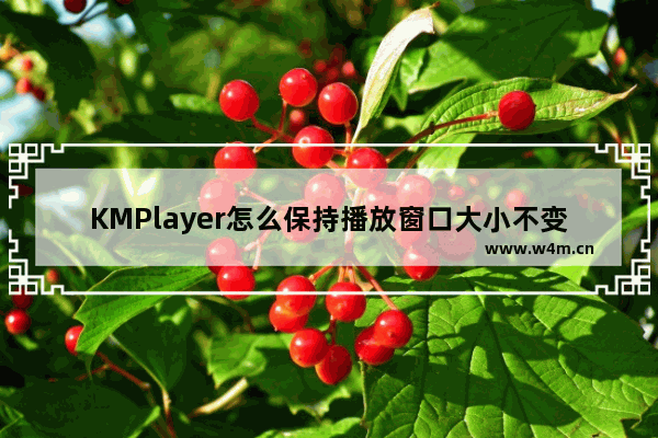 KMPlayer怎么保持播放窗口大小不变