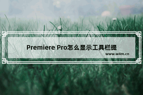 Premiere Pro怎么显示工具栏提示