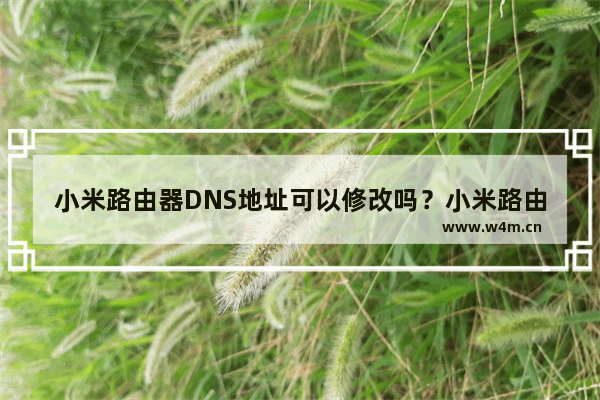 小米路由器DNS地址可以修改吗？小米路由器设置DNS地址的教程