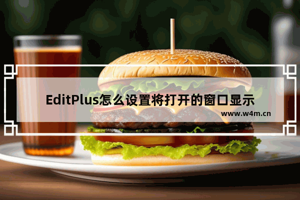 EditPlus怎么设置将打开的窗口显示在顶部