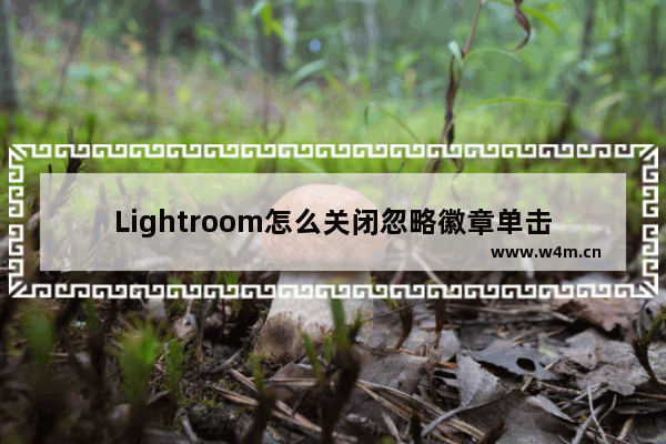 Lightroom怎么关闭忽略徽章单击