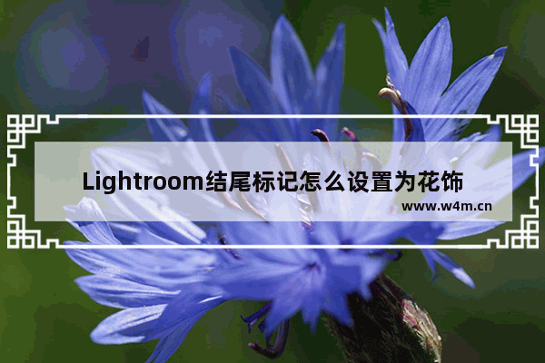 Lightroom结尾标记怎么设置为花饰