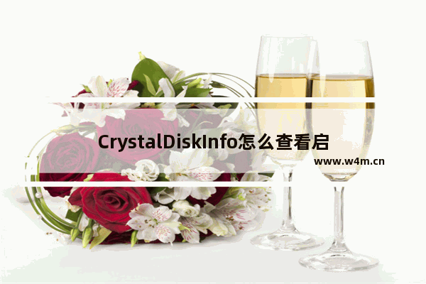 CrystalDiskInfo怎么查看启动关闭数据图