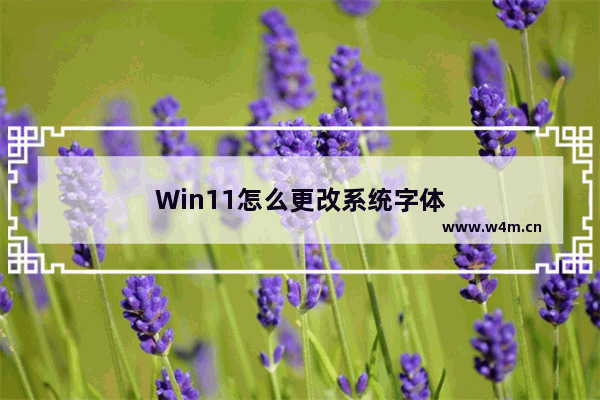 Win11怎么更改系统字体