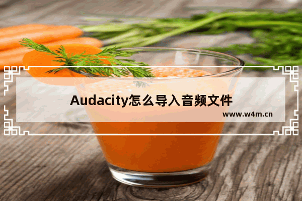 Audacity怎么导入音频文件