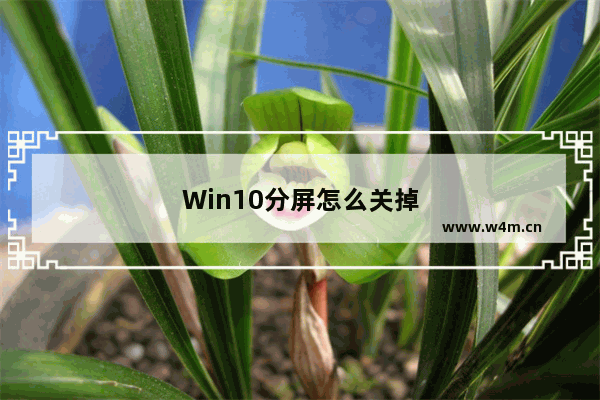 Win10分屏怎么关掉