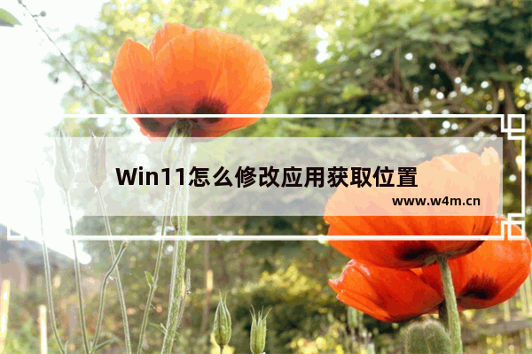 Win11怎么修改应用获取位置