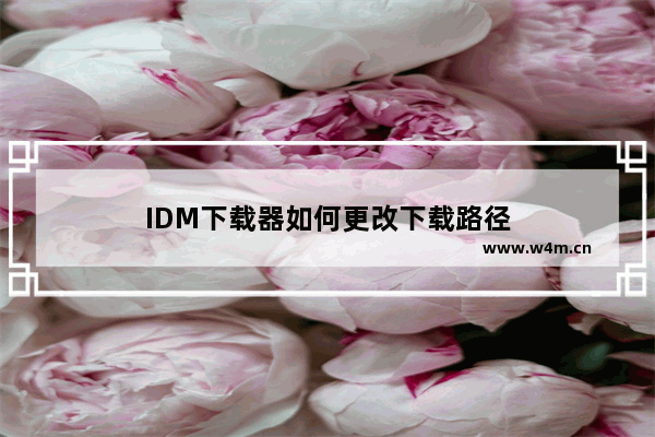 IDM下载器如何更改下载路径