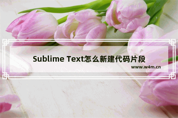 Sublime Text怎么新建代码片段