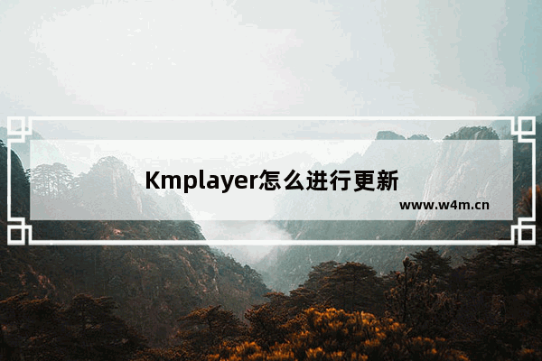 Kmplayer怎么进行更新