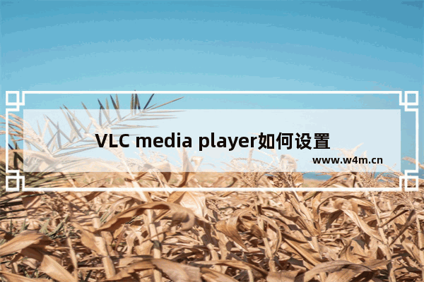 VLC media player如何设置菜单语言