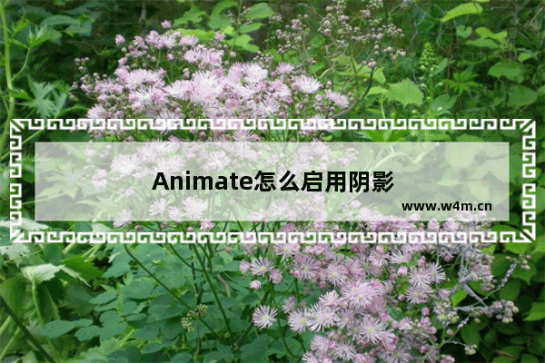 Animate怎么启用阴影