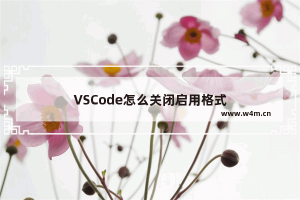 VSCode怎么关闭启用格式