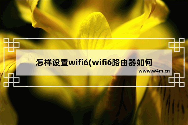 怎样设置wifi6(wifi6路由器如何设置才能达到最好)