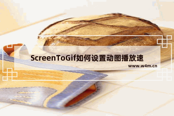 ScreenToGif如何设置动图播放速度