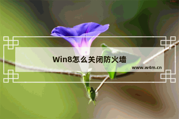 Win8怎么关闭防火墙