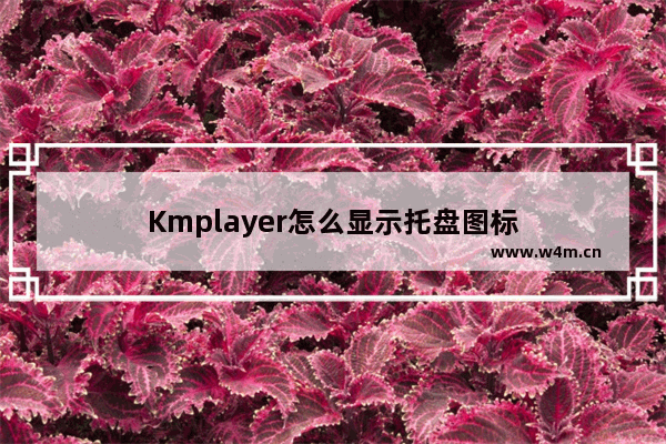 Kmplayer怎么显示托盘图标